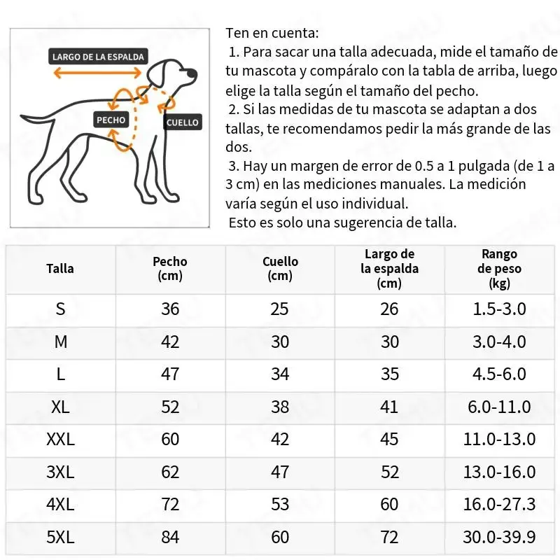 imagen_7.webp
