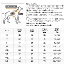 imagen_7.webp