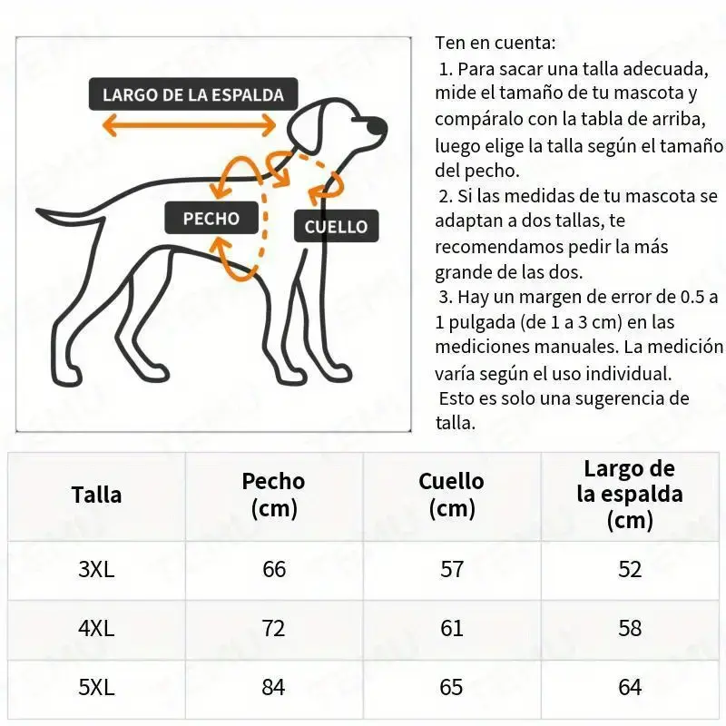 imagen_5.webp