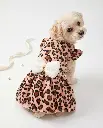 image (16).webp