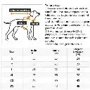 imagen_7.webp