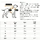 imagen_3.webp