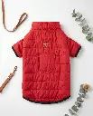image chalco rojo espalda.webp