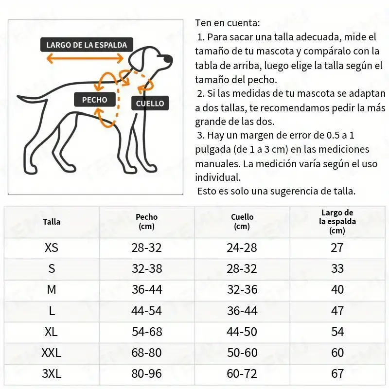 imagen_6.webp
