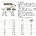 imagen_6.webp