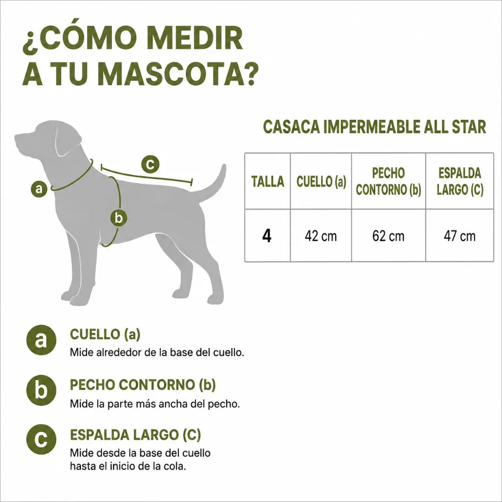 Casaca Impermeable All Star-Talla.webp