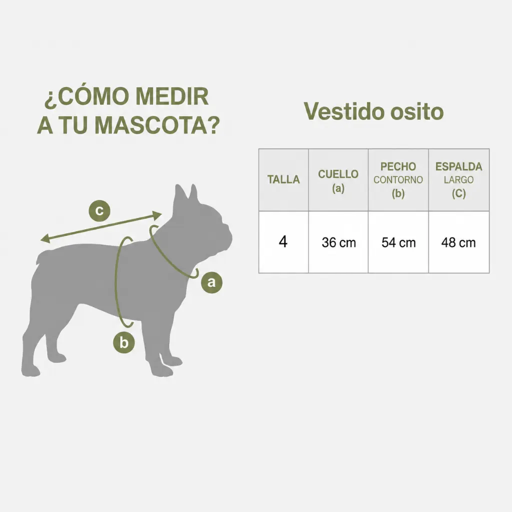 Vestido osito-Talla.webp