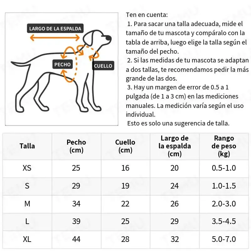 imagen_6.webp