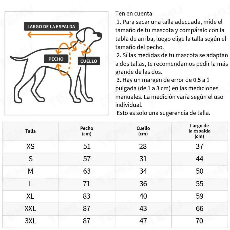 imagen_6.webp