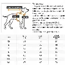 imagen_6.webp