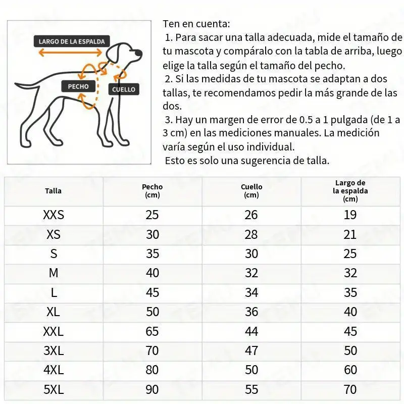 imagen_6.webp