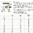 imagen_6.webp