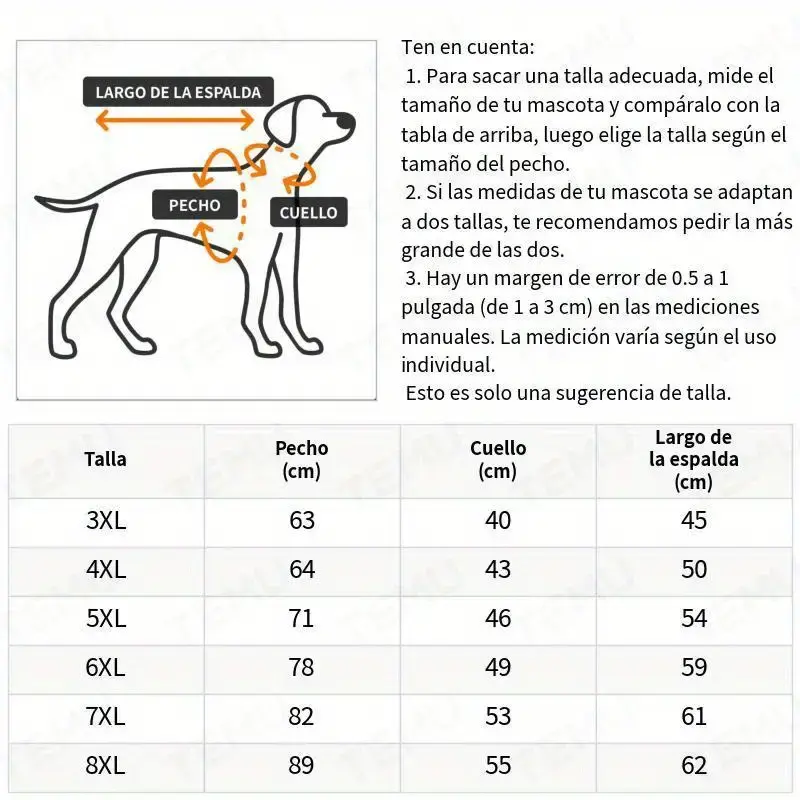 imagen_5.webp