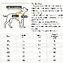 imagen_5.webp