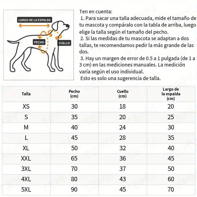 imagen_5.webp