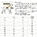 imagen_5.webp
