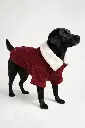 perro vestido guinda.webp