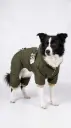 Enterizo Impermeable con Capucha