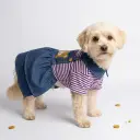 Vestido osito