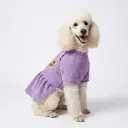 Vestido corduroy princesa