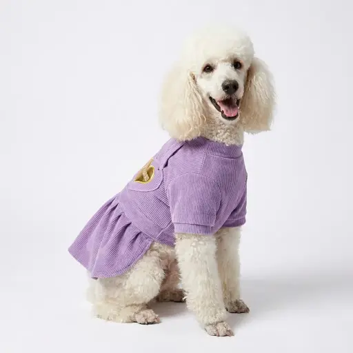 Vestido corduroy princesa