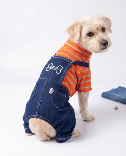 Overol de Jean con Polo a Rayas