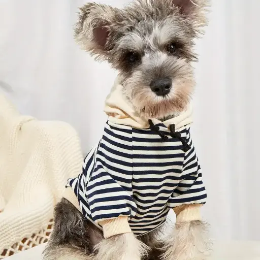 Ropa Para Mascotas, Abrigo Cálido, Sudadera Con Capucha A Rayas, Chaqueta Para Perros Para Primavera Y Verano 
