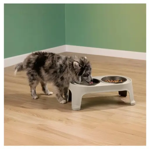 COMEDERO ALTO PARA PERROS PEQUEÑOS MOCCA 