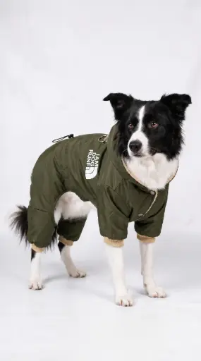 Enterizo Impermeable con Capucha